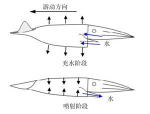 喷射推进过程