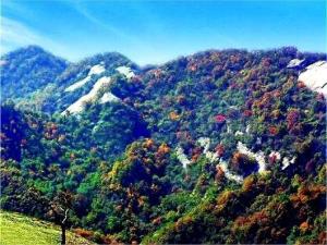 天池山森林公园图册