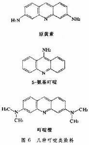 基因突变