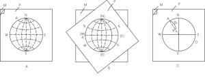 图7 P-透明纸 M-吴氏网