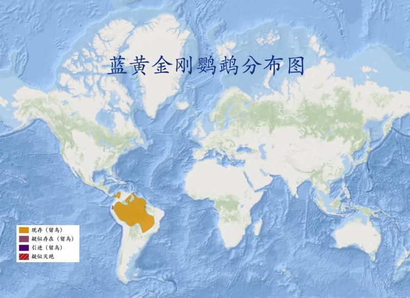 蓝黄金刚鹦鹉分布图