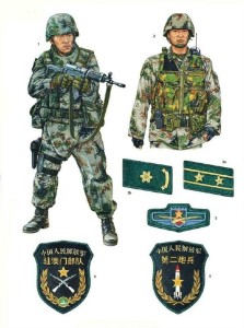 中国解放軍 07式臂章集