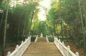 冶父山(图2)