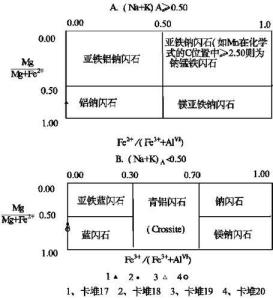 角闪石化学组成图
