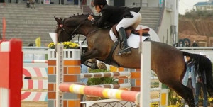 澳门赛马会 澳门赛马会