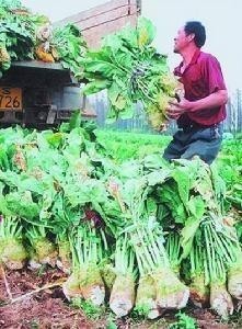 横州镇