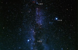 织女星