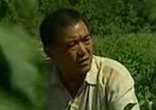 中国刑侦一号案