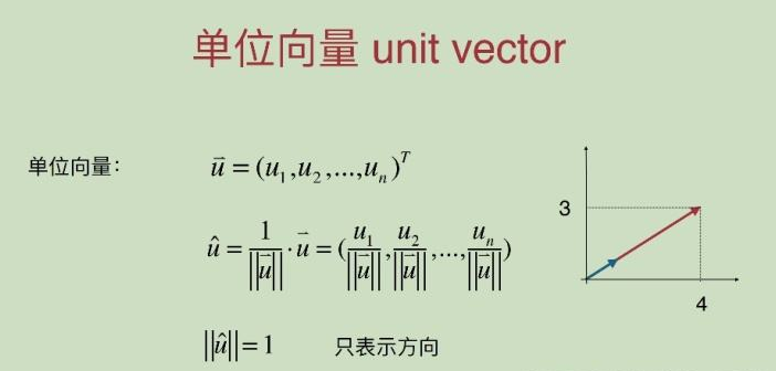 单位向量