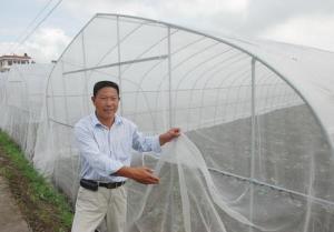 防虫网
