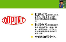 杜邦公司