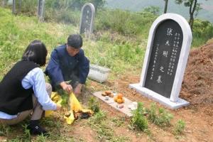 我们像葵花图册