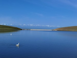 天鹅湖