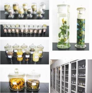 植物标本室
