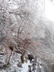 雪景古镇