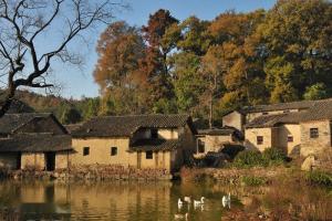 美丽乡景