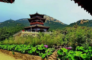 莲花山
