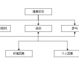 ICF(国际功能分类) - 搜狗百科