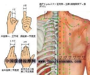 肺俞穴