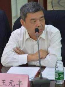王元丰