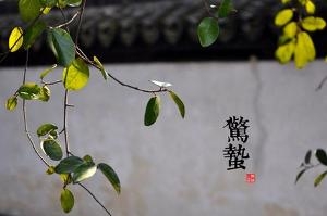 惊蛰