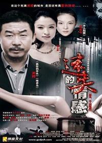 《迷失的感情》海报