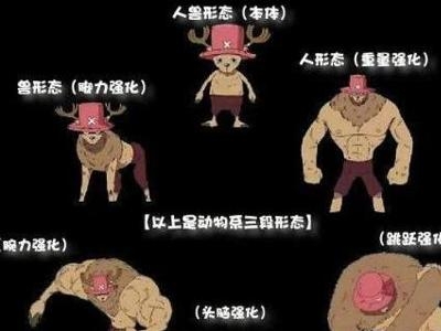 各阶段形态