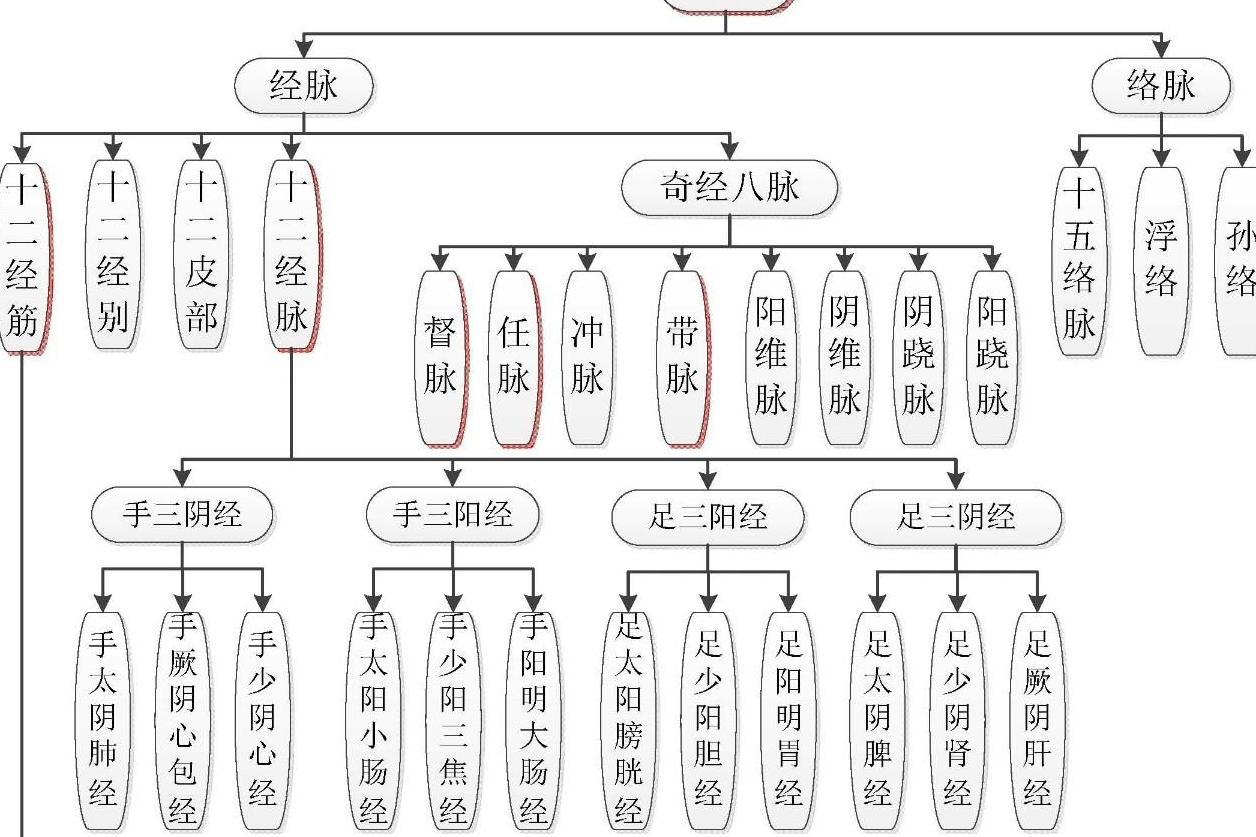 十二经脉 经络理论 搜狗百科