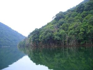 九鹏溪风景区景观