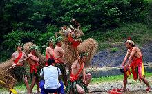 五节龙