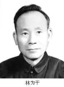 中国微波之父林为干