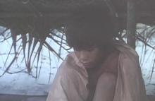 鲨鱼男孩