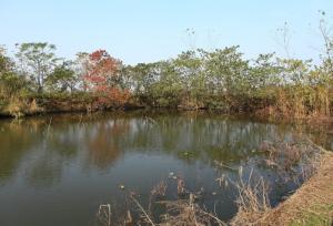 董永传说图册