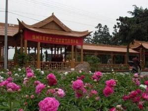 茱萸湾公园