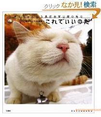 《这样野田的篮子猫暖烘烘》
