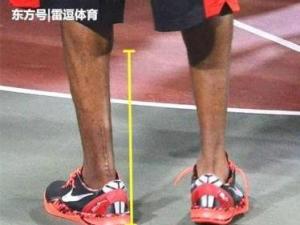 跟腱