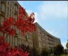 校园风光