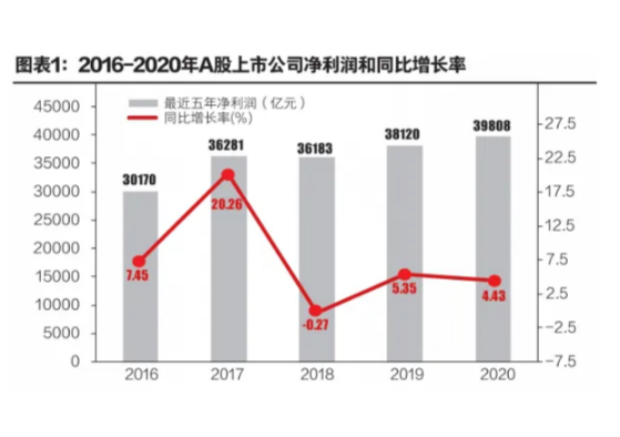 同比增长率