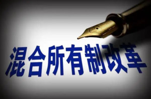 混合所有制改革