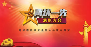 两优一先