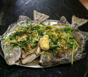 金鼓鱼