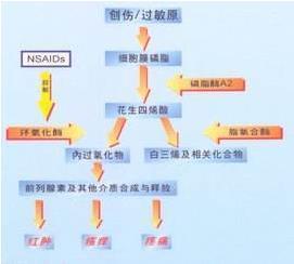 非甾体抗炎药