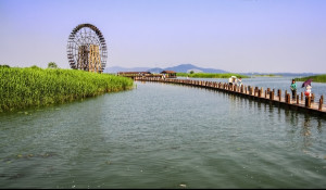 太湖湿地公园