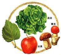 饮食