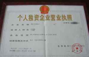 一人有限责任公司