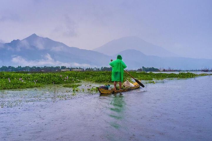 梅雨 持续天阴有雨的气候现象 搜狗百科