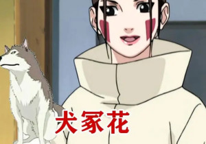犬冢花