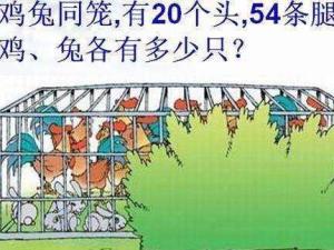 鸡兔同笼问题