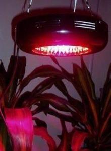 植物生长灯 