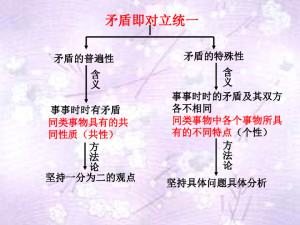 矛盾特殊性